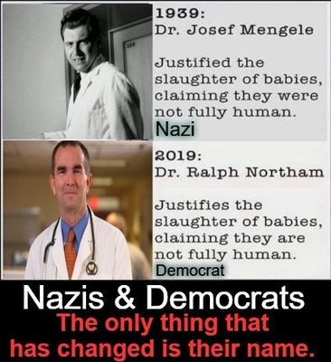 Nazi Democrat.jpeg