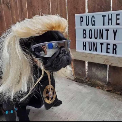 Pug Bounty Hunter.jpg