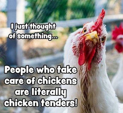 Chicken Tenders.jpg