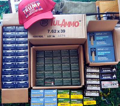 A Good Ammo Panic Buy With More Coming.jpg