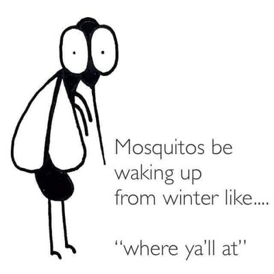 Mosiquitos.jpg