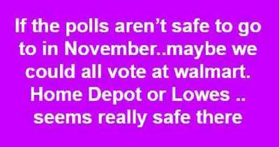 if-polls-arent-safe-in-november-maybe-we-can-vote-walmart-lowes-home-depot.jpg