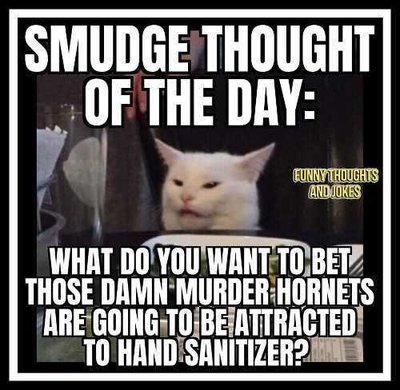 smudge-thought-of-day-murder-hornets-attracted-to-hand-sanitizer.jpg