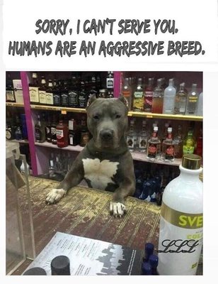 aggressive breed.jpg