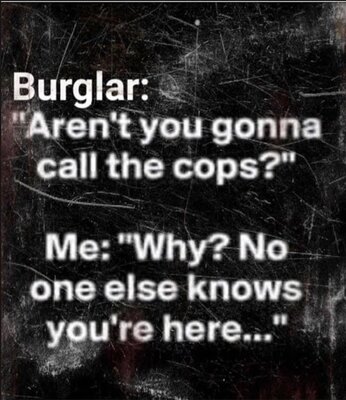 Burglar.jpeg