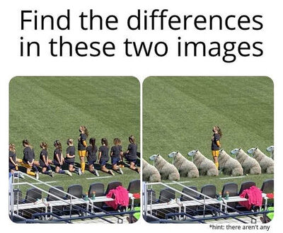 find-difference-two-images-us-womens-soccer-team-sheep-kneeling-for-national-anthem.jpg