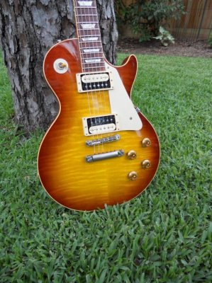 2009 R9 Iced Tea with Zebra Pagey 2 Pickups.jpg