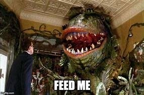 feed me.jpg