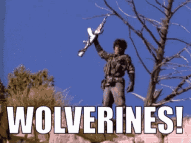 red-dawn-wolverines.gif