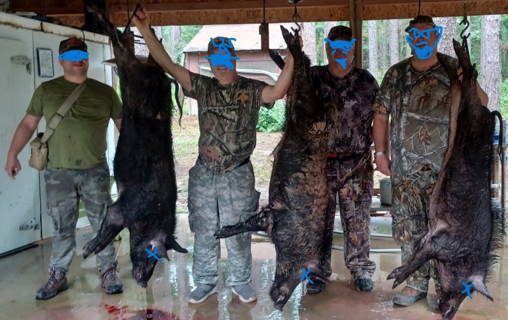 June Teenth 19th 2024 Hog Hunt.jpg