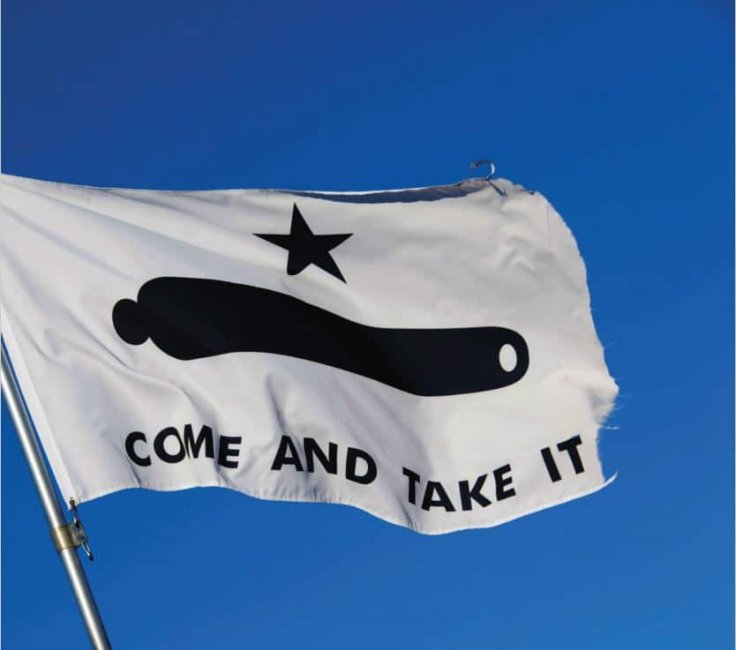 Gonzales flag.jpg