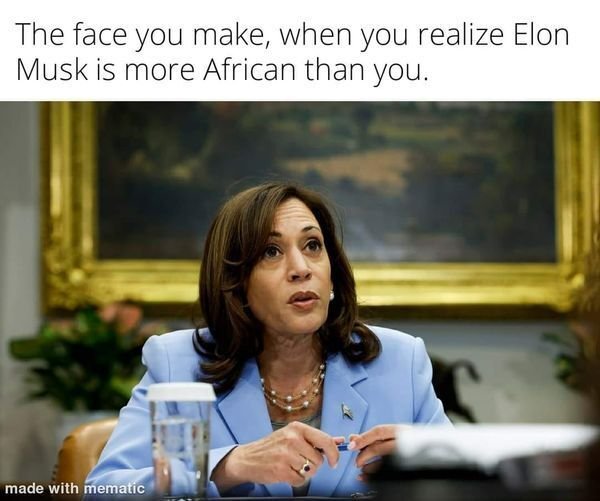 Elon is more african.jpg