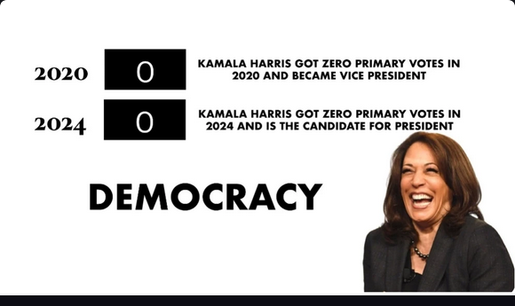 Screenshot 2024-08-20 at 12-10-57 KAMALA HARRIS GOT ZERO PRIMARY VOTES IN 2020 2020 AND BECAME...png