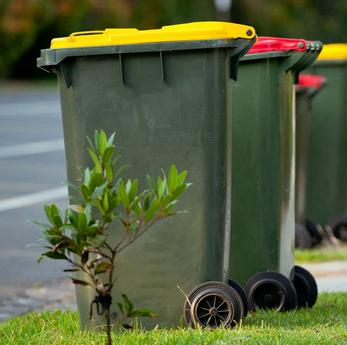 Screenshot 2024-09-07 at 15-39-32 green recycle bin at DuckDuckGo.png