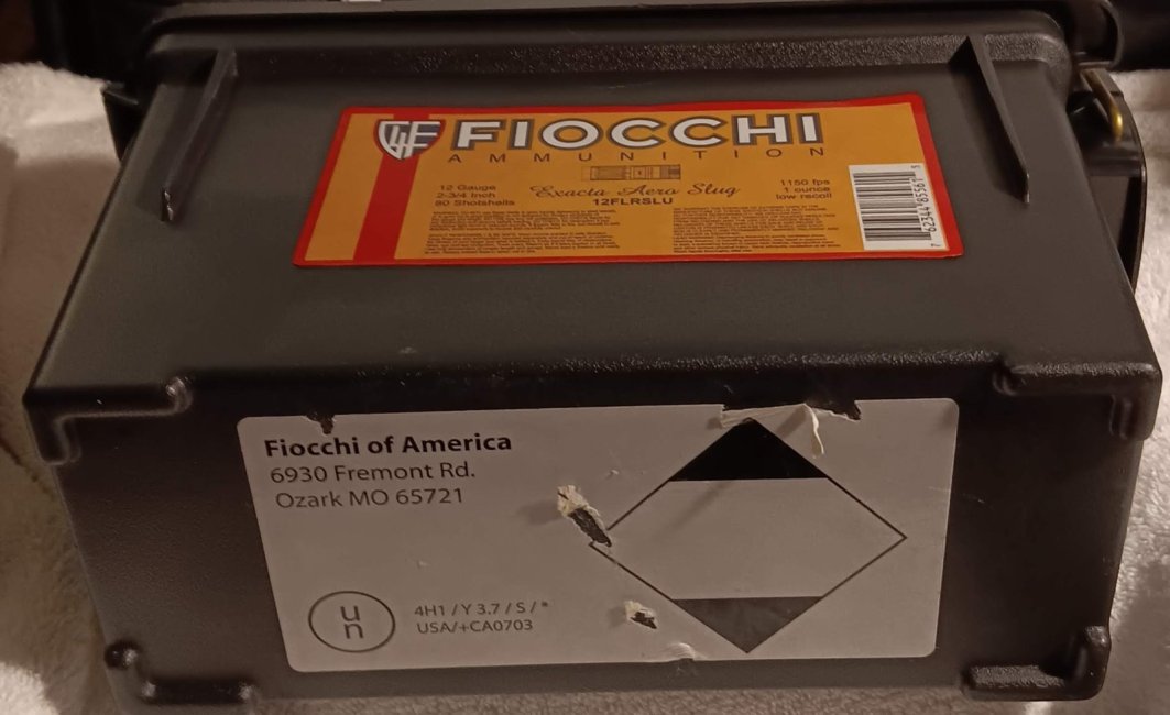 FIOCCI1.jpg