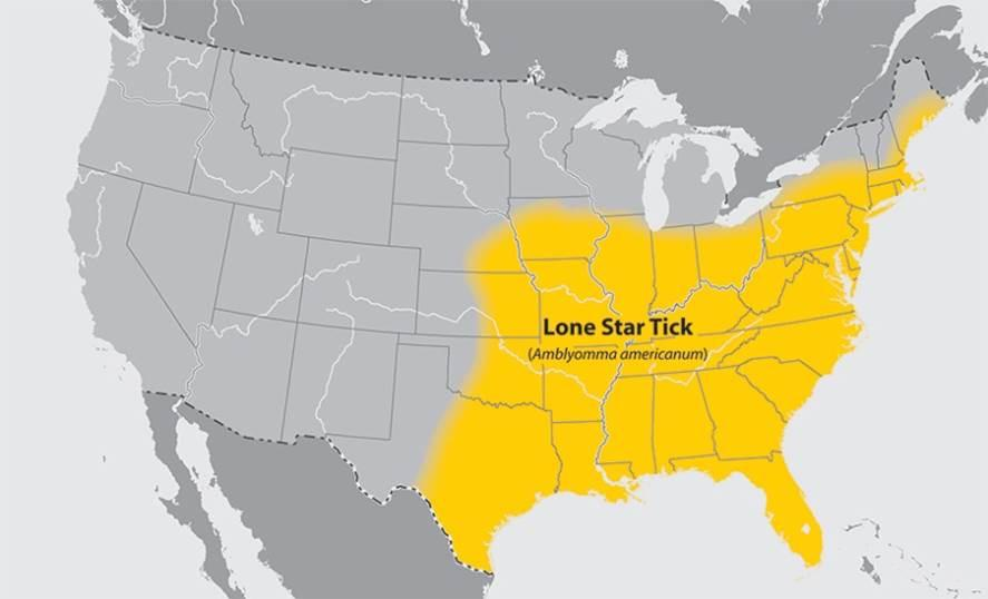 Screenshot 2024-09-22 at 01-39-19 Lone-star-tick-map-cdc - Amblyomma americanum - Wikipedia.png