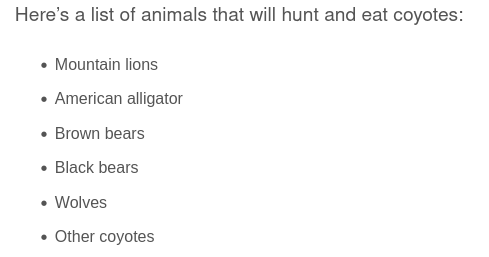 Screenshot 2024-10-05 at 11-15-20 What Eats Coyotes The Full List of Coyote Predators.png