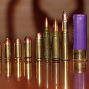 bullets & shells of mine...left 2 right
.22lr, .380acp, 9mm Luger, .40s&w, .45acp, .38 special,.223rem, 7.62x39mm, 30-30, 16 Gauge, 12 Gauge