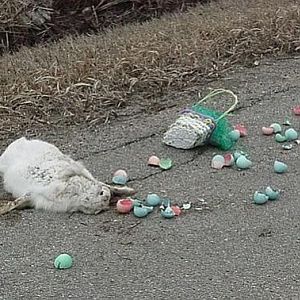 easter bunny death