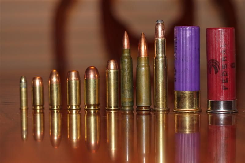 bullets & shells of mine...left 2 right
.22lr, .380acp, 9mm Luger, .40s&w, .45acp, .38 special,.223rem, 7.62x39mm, 30-30, 16 Gauge, 12 Gauge