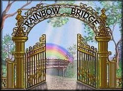 The Rainbows Bridge Poem