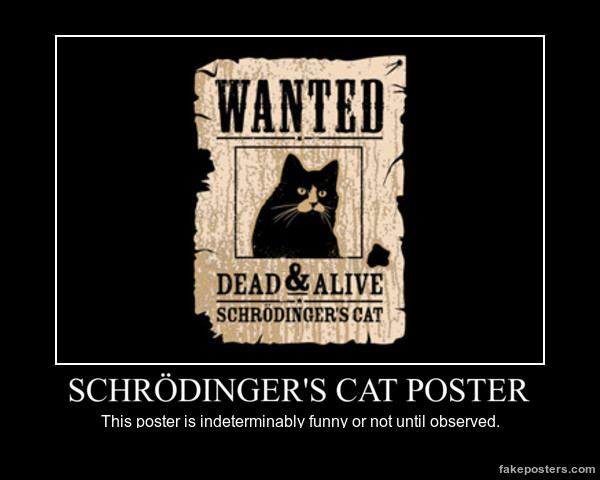 schrodinger_s_cat_by_evilkitten3-d687igk.jpg