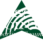 fossilpointe.net